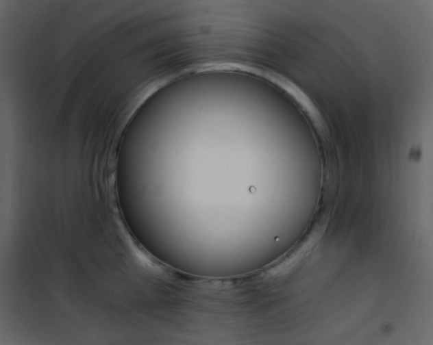 X0000101950809200807171132
