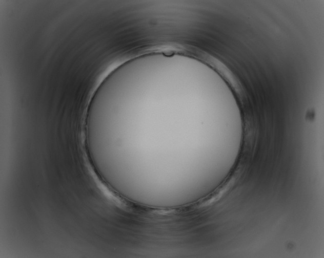 X0000101950810200807171132