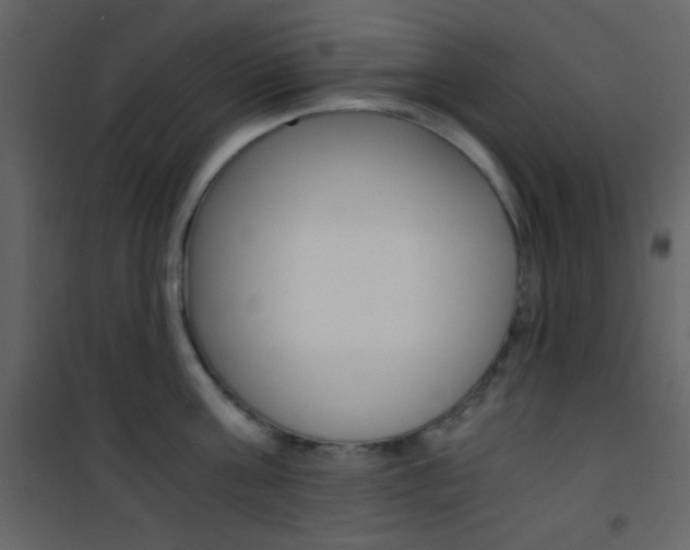 X0000101950811200807171132