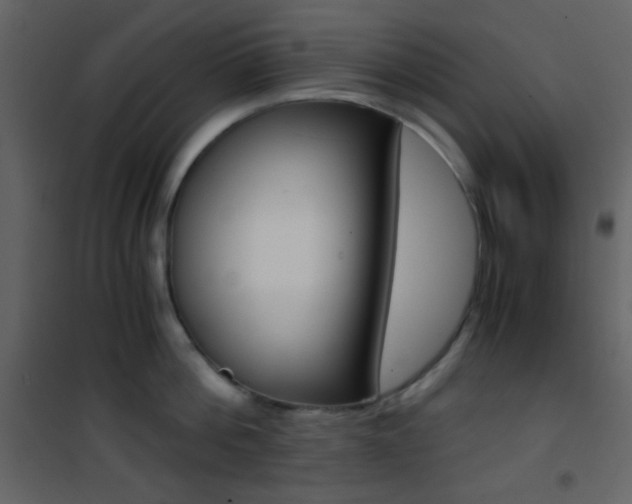 X0000101950812200807171132