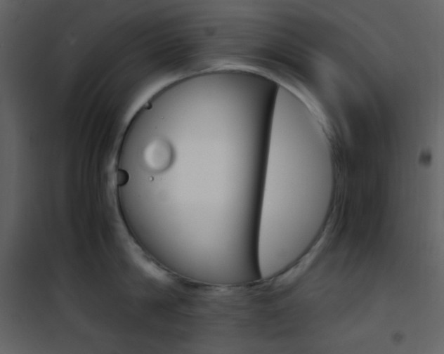 X0000101950814200807171132