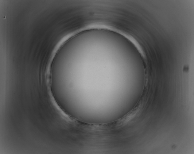 X0000101950815200807171132