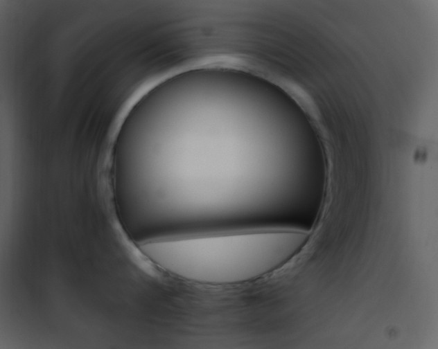 X0000101950816200807171132