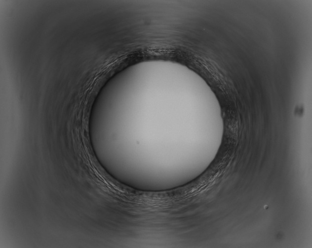 X0000101950817200807171131