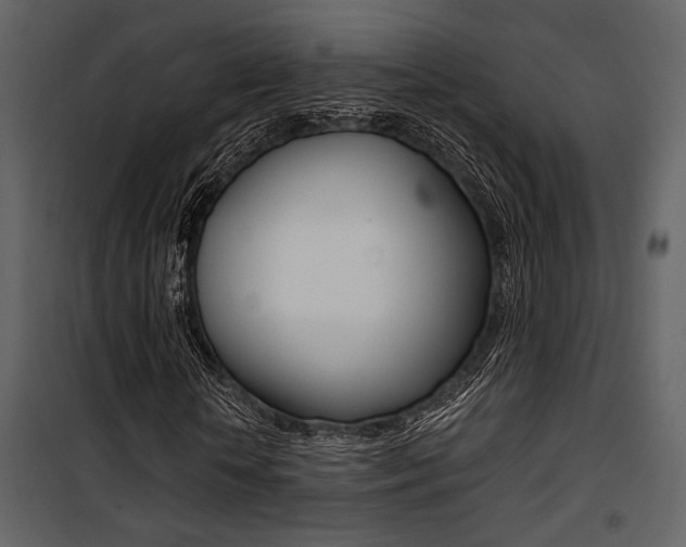 X0000101950818200807171131