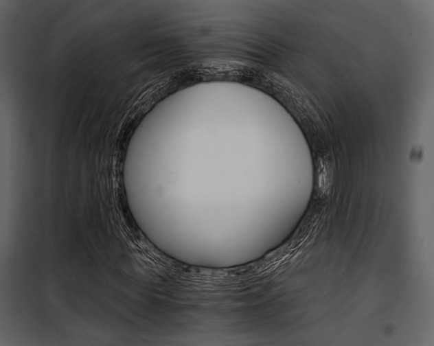 X0000101950819200807171131