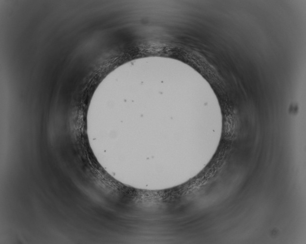 X0000101950820200807171131