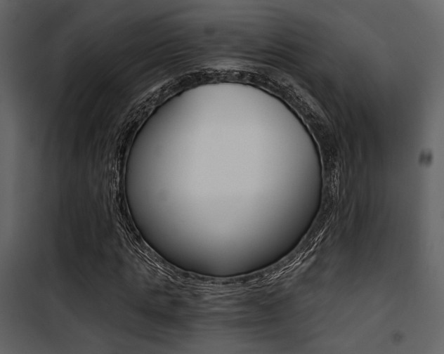 X0000101950821200807171131