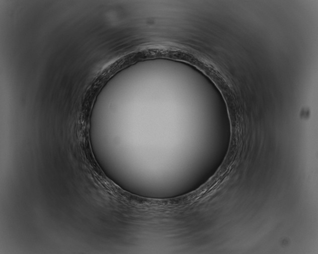 X0000101950822200807171131