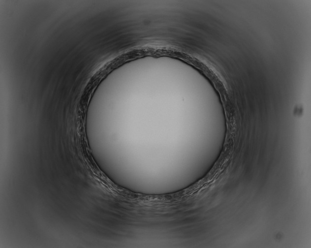X0000101950823200807171131