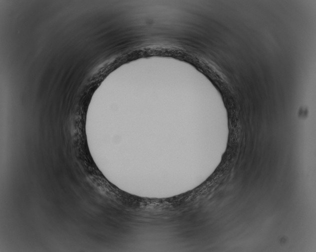 X0000101950824200807171131