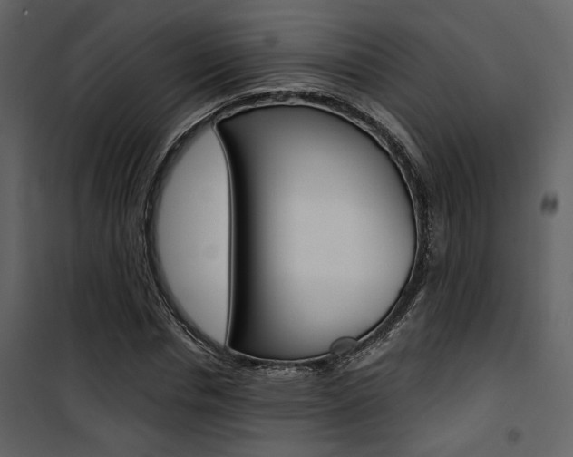 X0000101950826200807171131