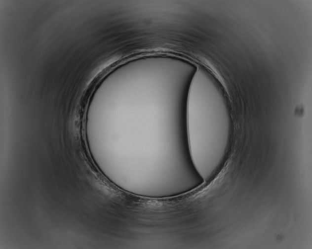 X0000101950827200807171131