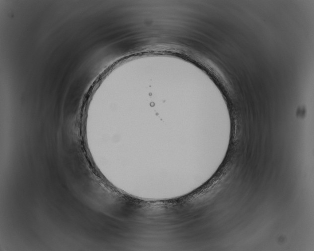 X0000101950828200807171131