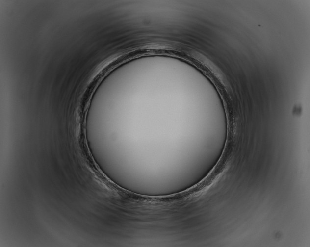 X0000101950829200807171131