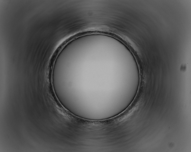 X0000101950830200807171131