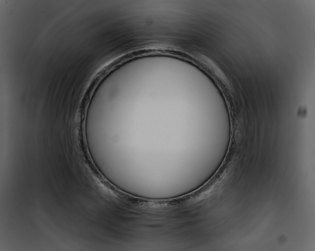 X0000101950831200807171131
