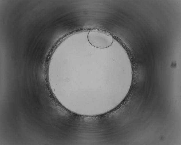 X0000101950832200807171131