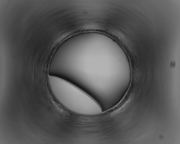 X0000101950833200807171131