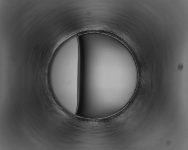 X0000101950834200807171131