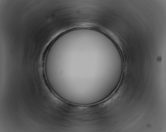 X0000101950835200807171131