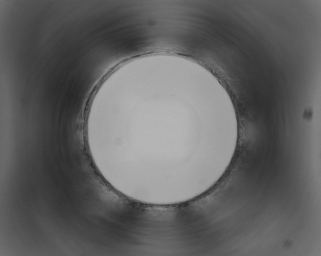 X0000101950836200807171131
