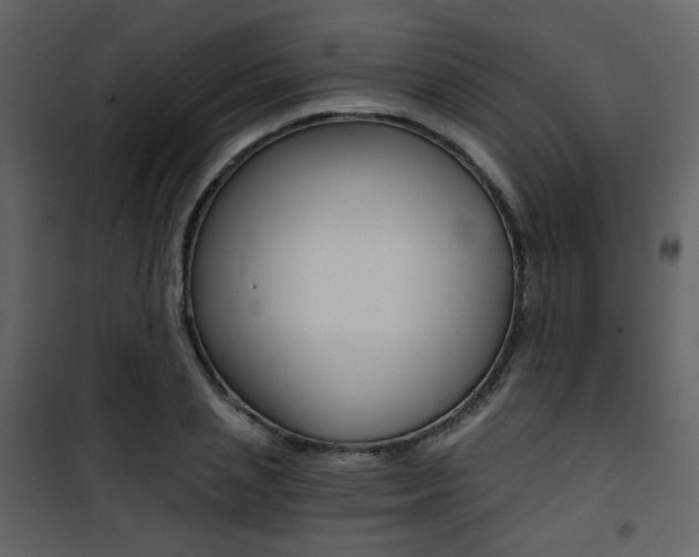 X0000101950837200807171131