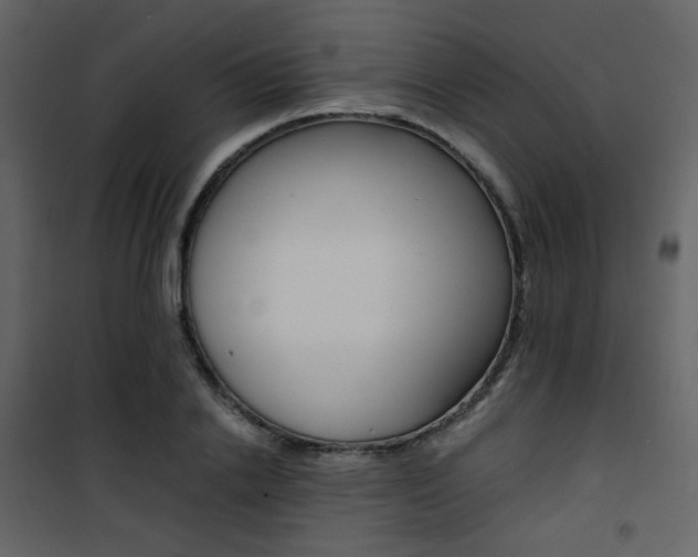 X0000101950838200807171131
