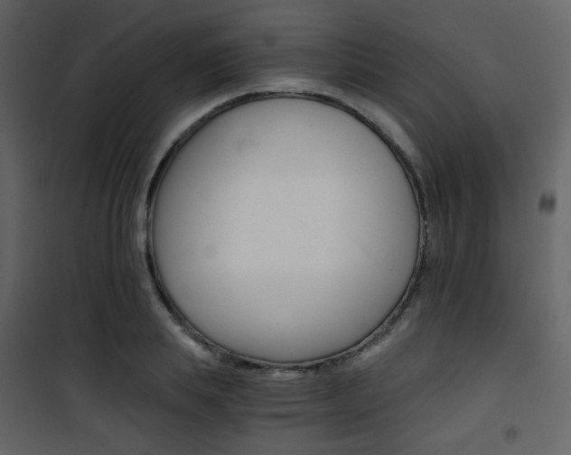 X0000101950839200807171131