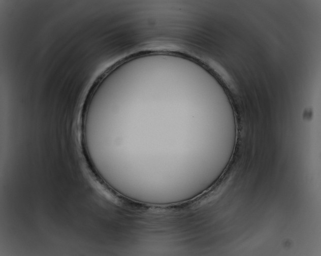 X0000101950840200807171131