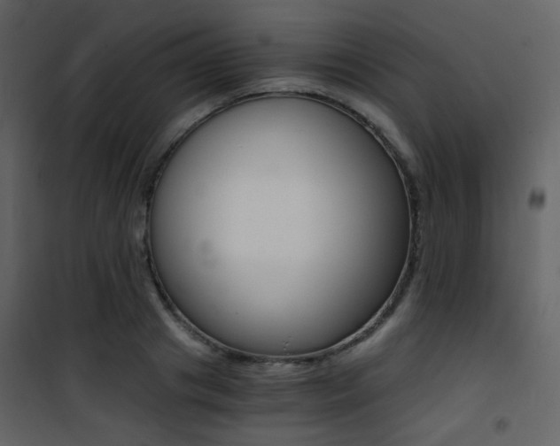 X0000101950841200807171131