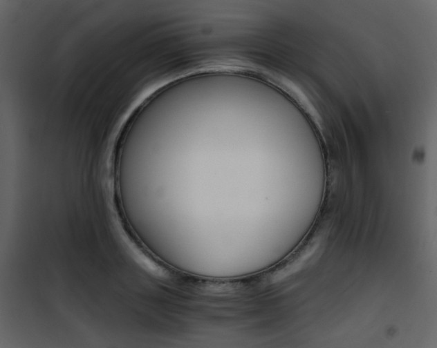 X0000101950843200807171131