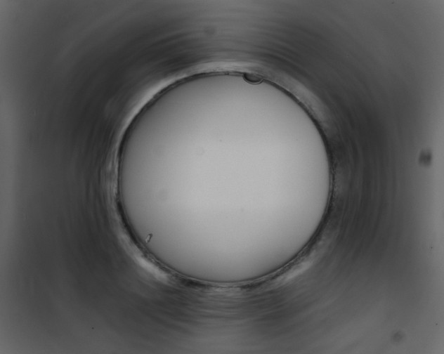 X0000101950844200807171131