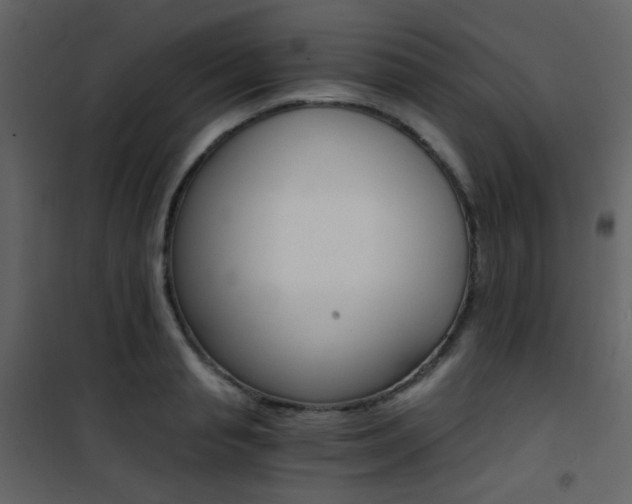 X0000101950845200807171131