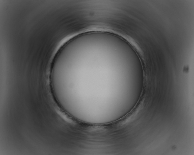 X0000101950846200807171131