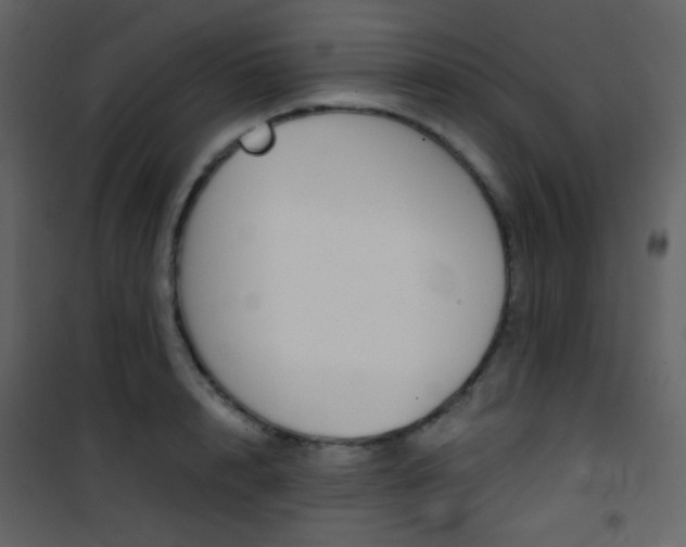 X0000101950848200807171131