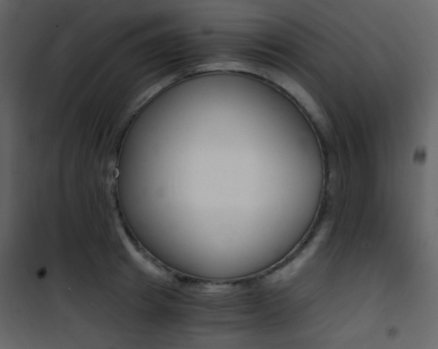 X0000101950849200807171131