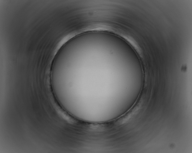 X0000101950850200807171131