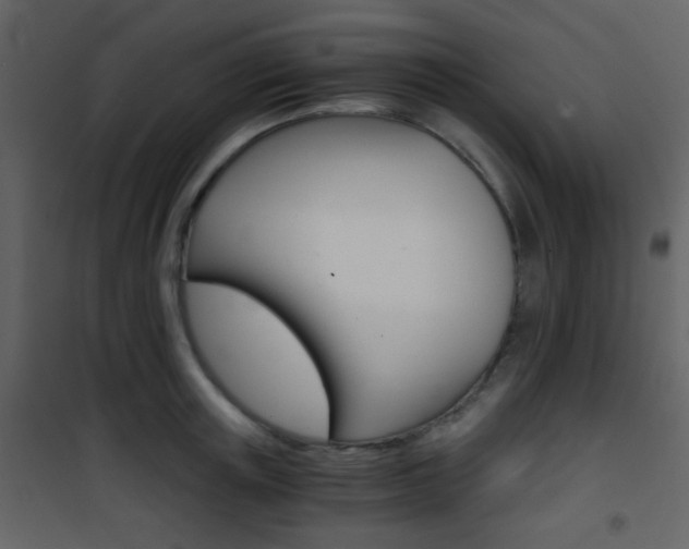 X0000101950851200807171131