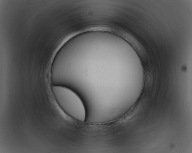 X0000101950852200807171131