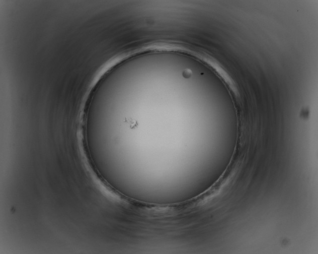 X0000101950853200807171131