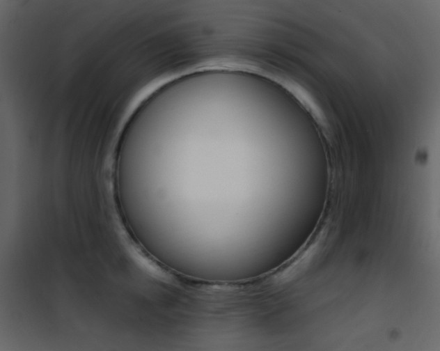 X0000101950854200807171131