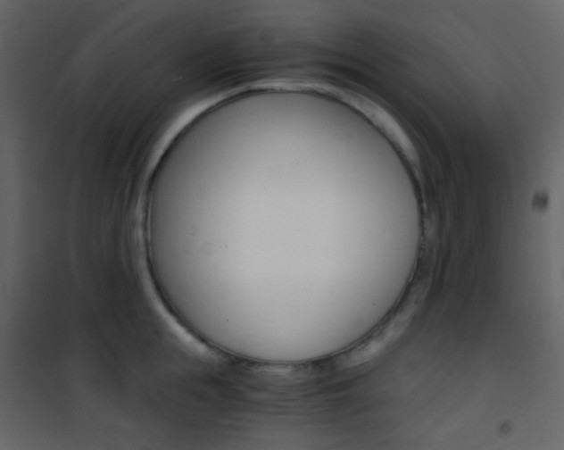X0000101950855200807171131