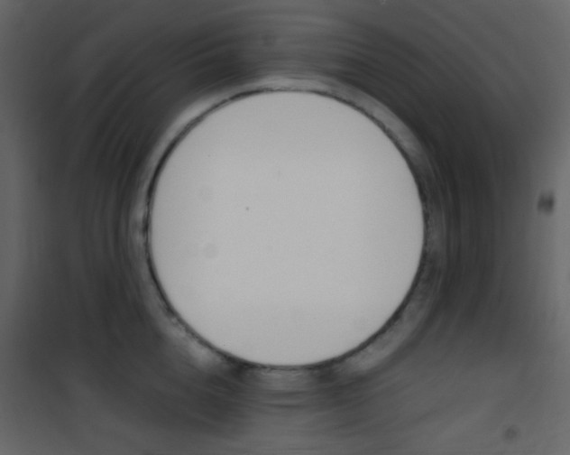 X0000101950856200807171131