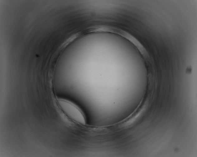 X0000101950857200807171131