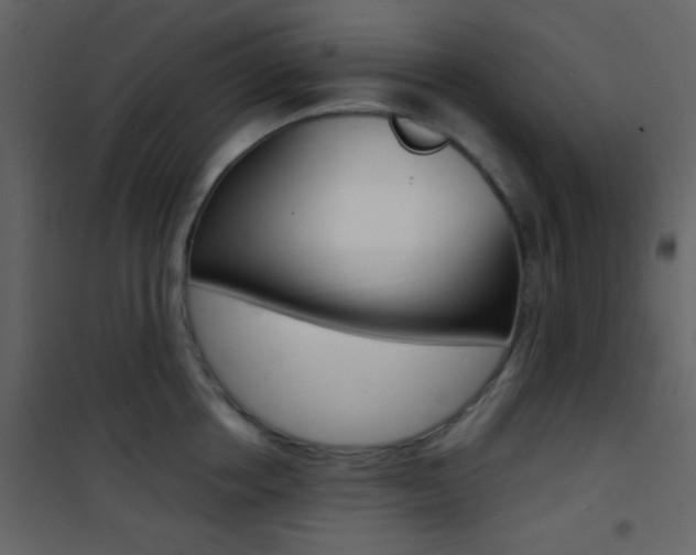 X0000101950858200807171132
