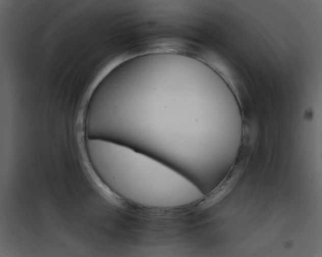 X0000101950859200807171132