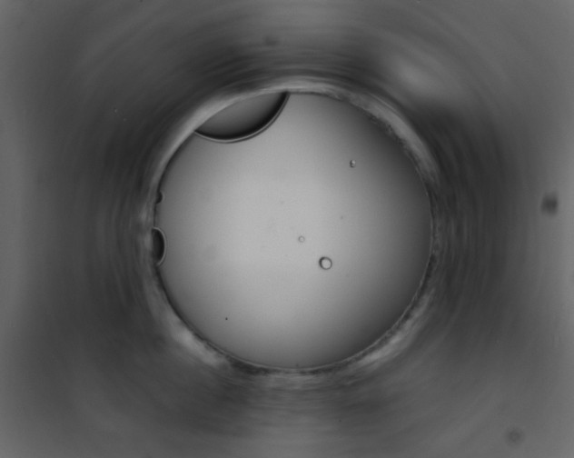 X0000101950860200807171132