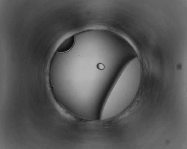 X0000101950861200807171132