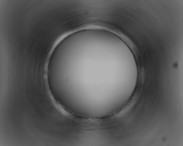 X0000101950862200807171132
